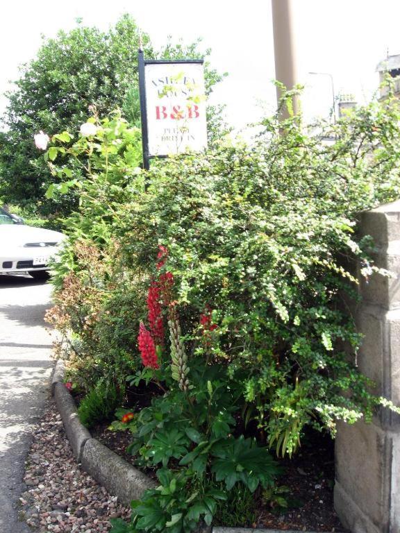 ダンディー Ashley House Bed & Breakfast エクステリア 写真